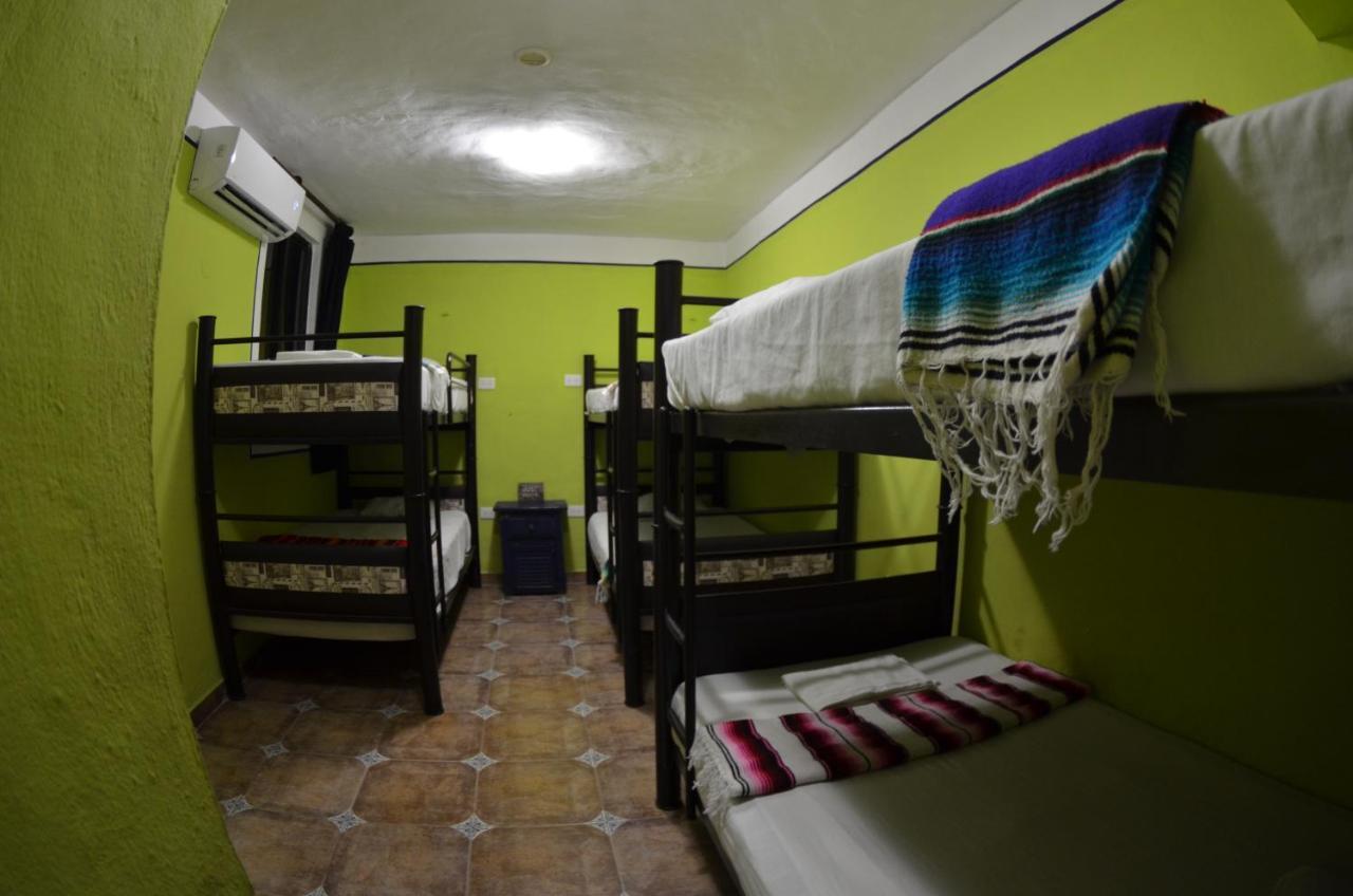 Fiesta Party Hostel - Cancún Dış mekan fotoğraf
