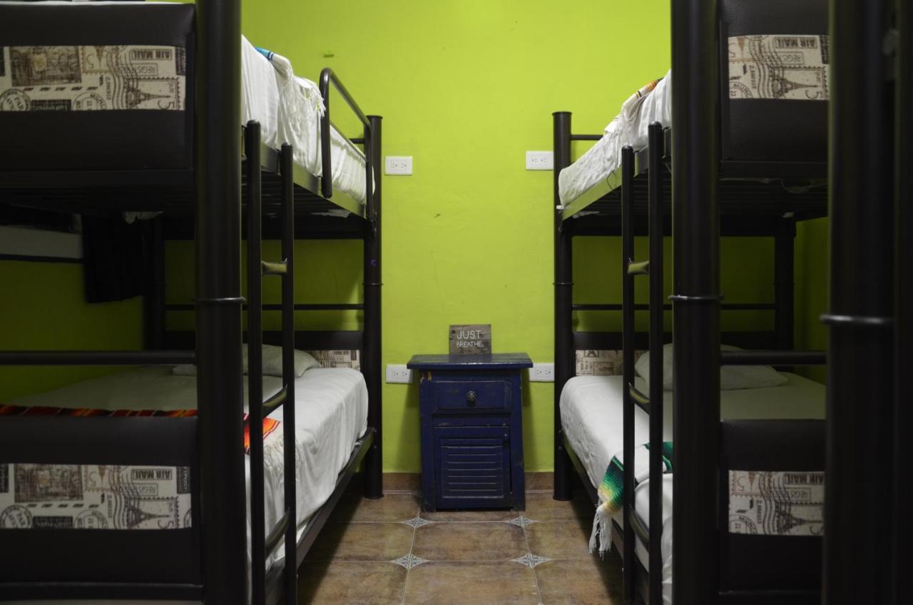 Fiesta Party Hostel - Cancún Dış mekan fotoğraf